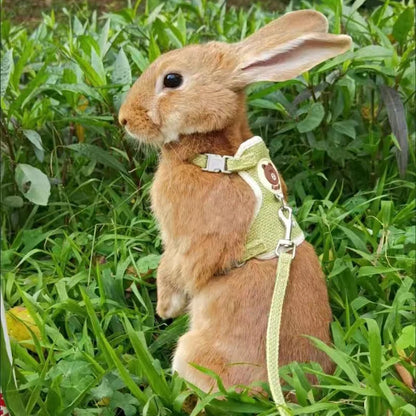 "Does your rabbit also jump in every direction you try to walk? This harness will solve that and make your time together safe and fun."    Safe, comfy and escape-resistant harness set for stress-free outdoor adventures.