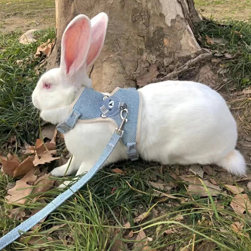 "Does your rabbit also jump in every direction you try to walk? This harness will solve that and make your time together safe and fun."    Safe, comfy and escape-resistant harness set for stress-free outdoor adventures.