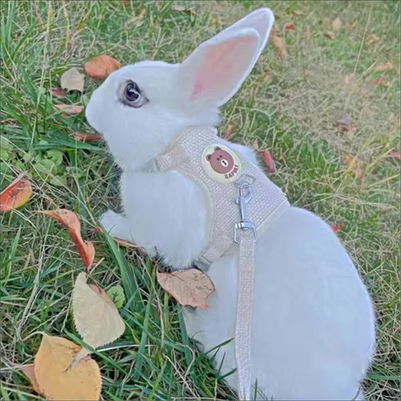 "Does your rabbit also jump in every direction you try to walk? This harness will solve that and make your time together safe and fun."    Safe, comfy and escape-resistant harness set for stress-free outdoor adventures.