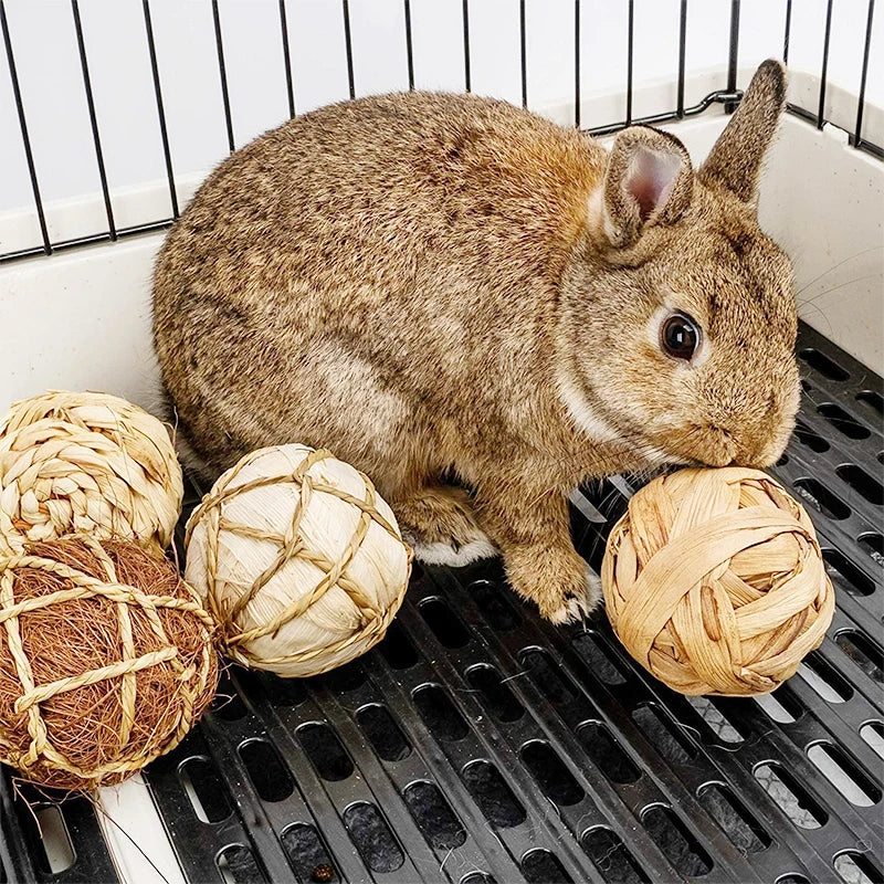 Give your small pet hours of fun and healthy chewing with our 7CM Chewing Braided Ball, made from 100% natural grass